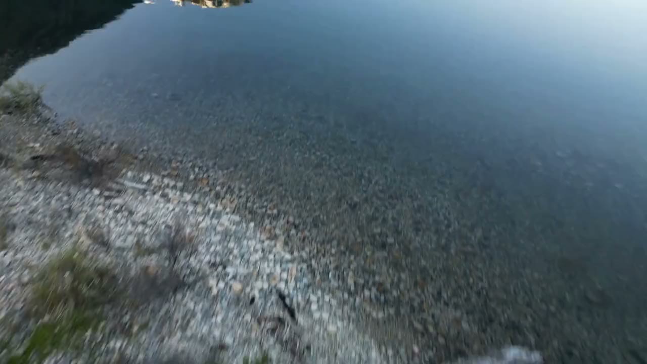 Orilla de piedras y troncos con agua transparente, vista desde el dron